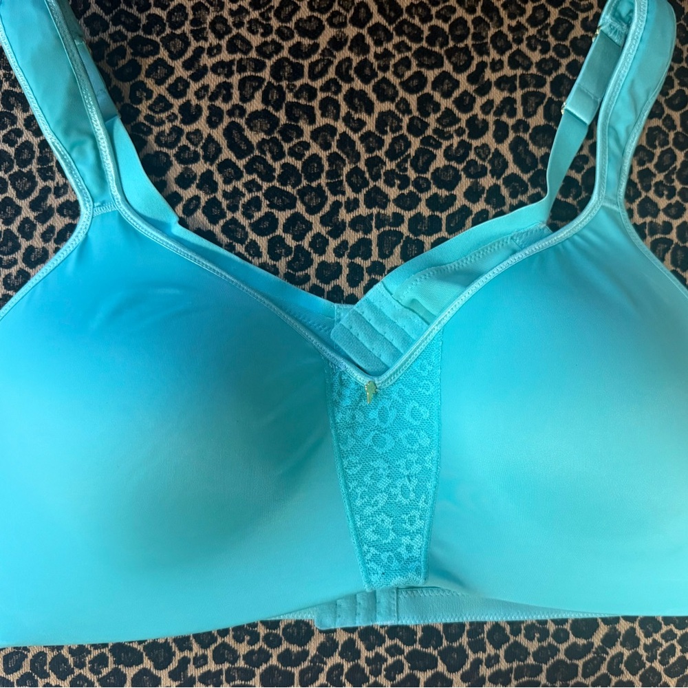 Ashley Stewart Turquoise Bra 46D
